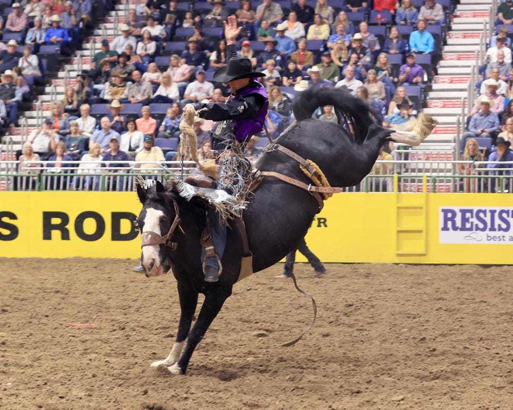 Bronc ride:  Photo credit NIRA