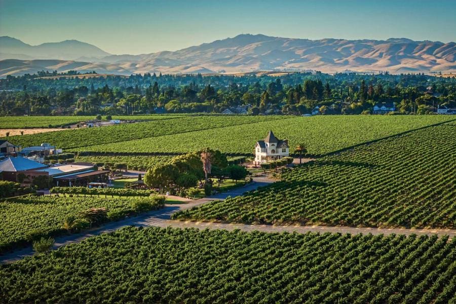Wine Country.  Photo by Concannon Estates.
