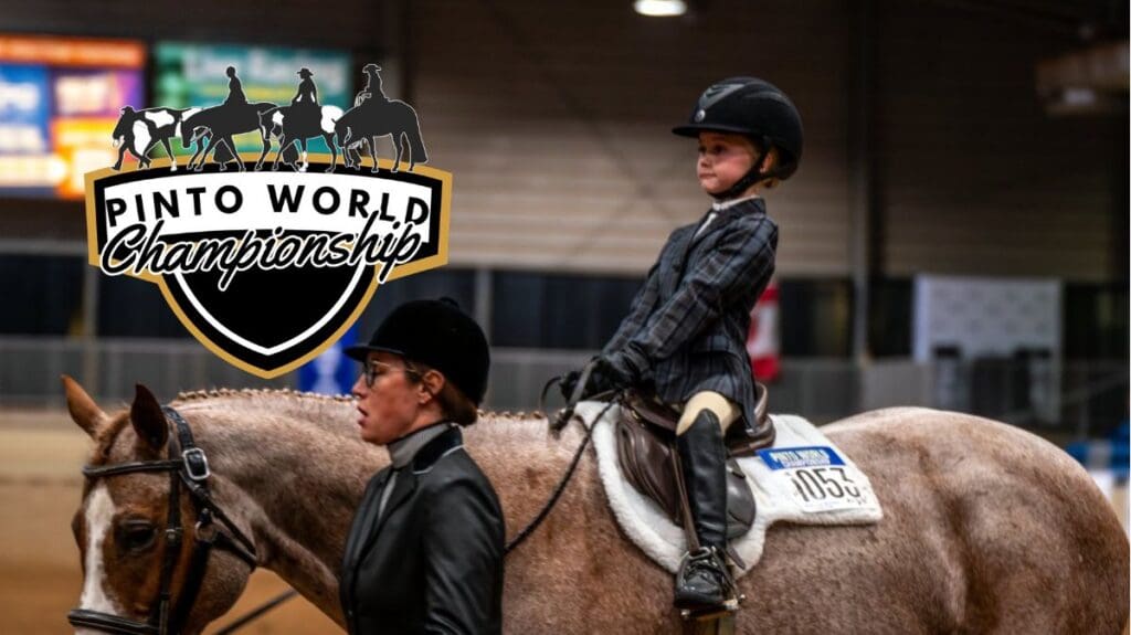 FI Pinto World Finals 26