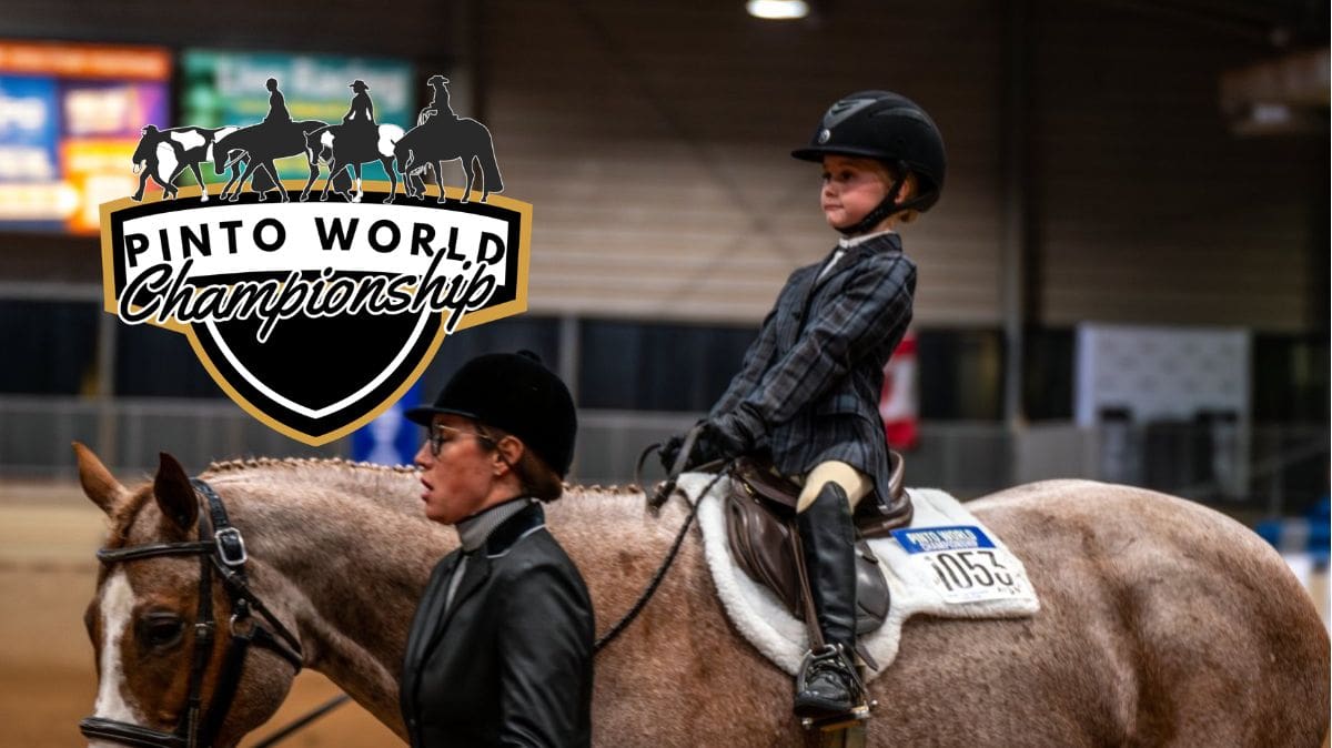 FI Pinto World Finals 26