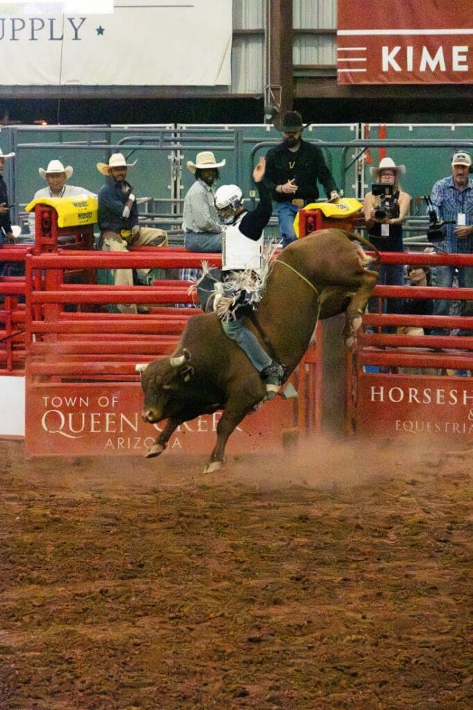 Bucking Bulls at Queen Creek PBR.  Photo credit Drew Meador