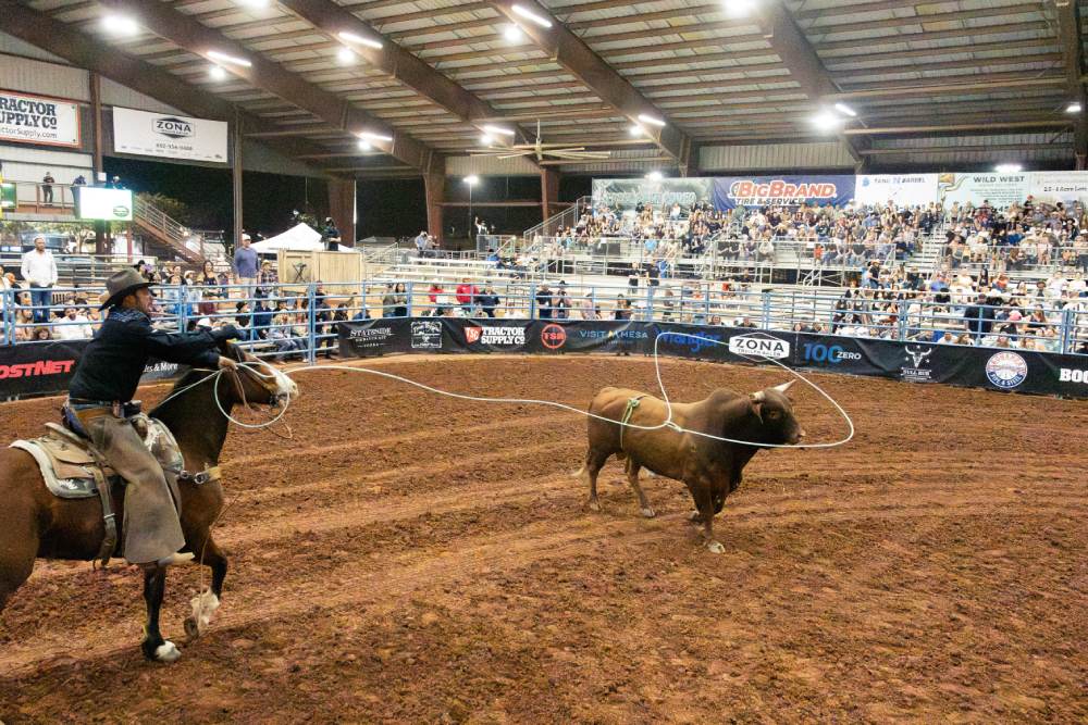 QC PBR 2026. Photo credit: Drew Meador