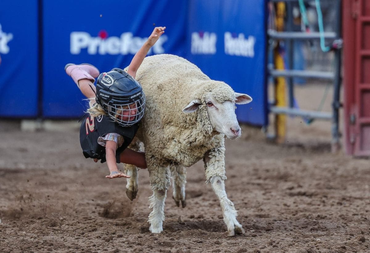 Schras Rodeo The Enduring Spirit of Colorado’s Eagle County Fair & Rodeo - Cowboy ...