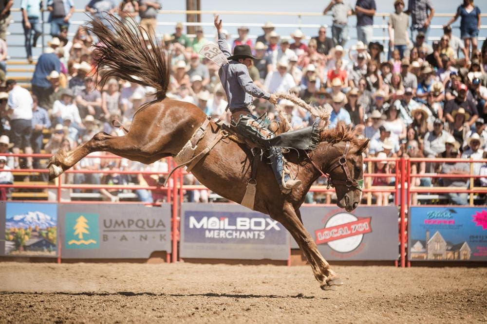 Saddle Bronc-Sisters Rodeo