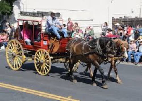 Livermore Rodeo Parade.  Photo from Livermore Rodeo fb