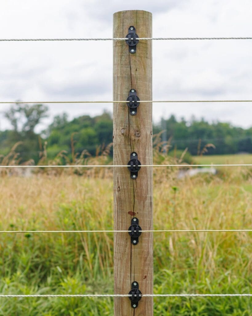 Image of cameo fencing