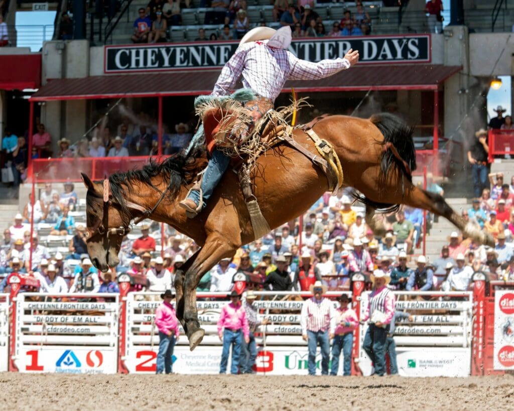 Cowboy on bronc at Cheyenne Frontier Days