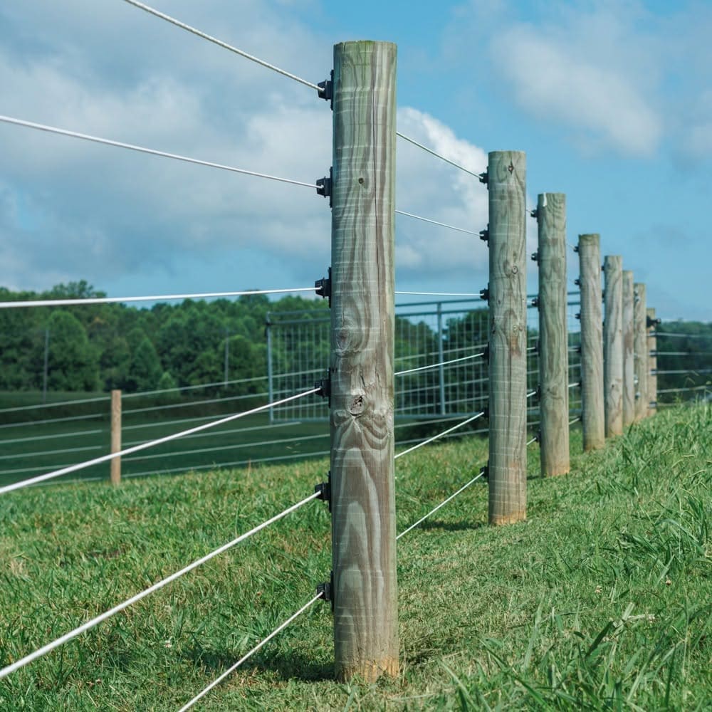 Image of cameo fencing