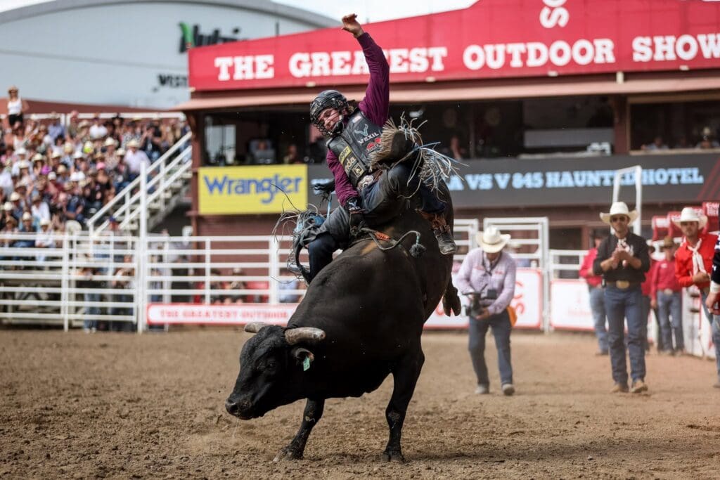 Bull rider at the Calgary Stampede