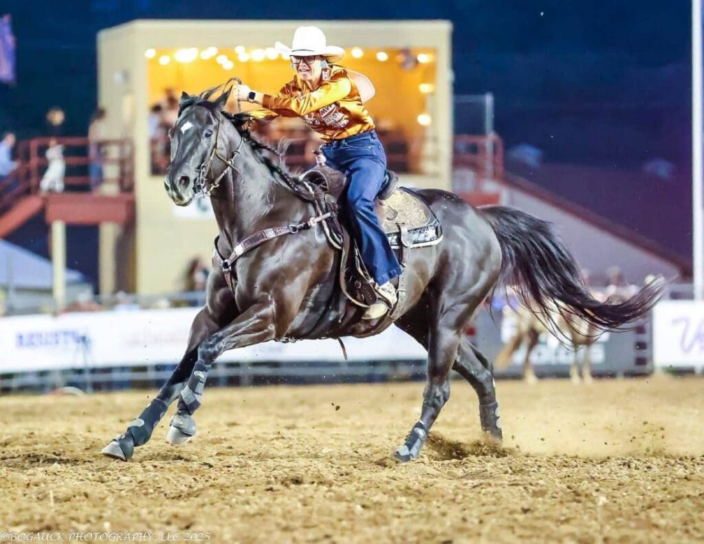 Beautiful Barrel Horse. Bogauck photography.