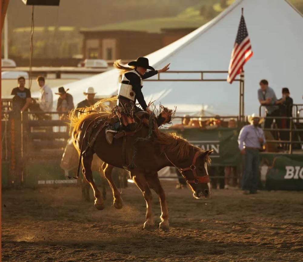 Bronc Big Sky Rodeo