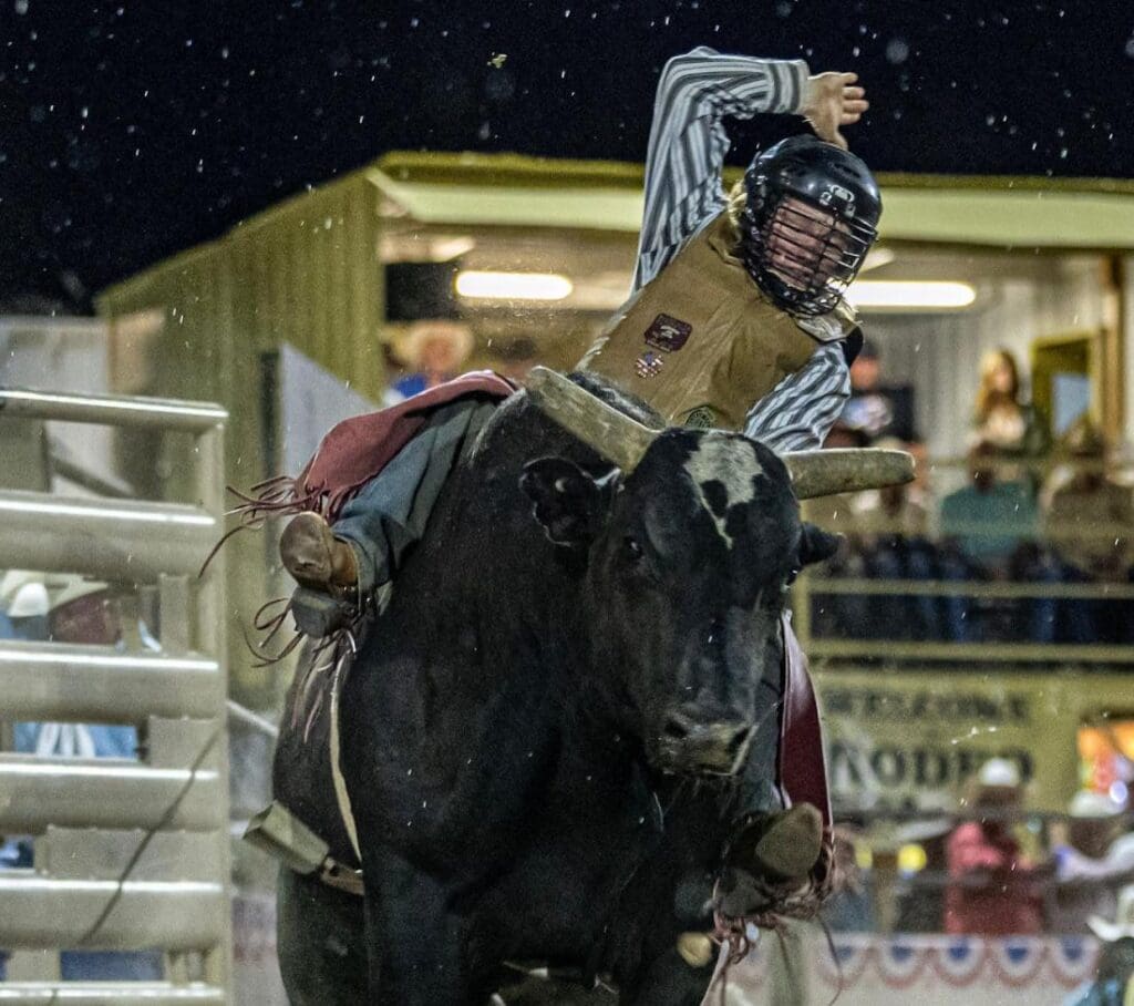 Bull ride.  Photo credit_  Prescott Rodeo