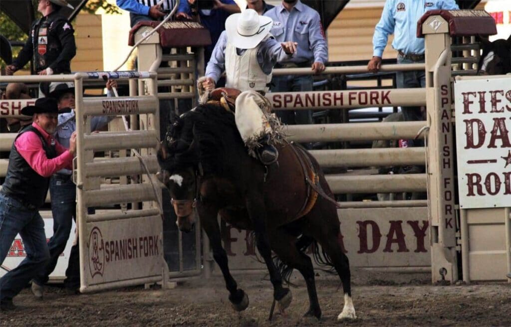 Bronc rider at Spanish Fork Rodeo.  CLN Media.