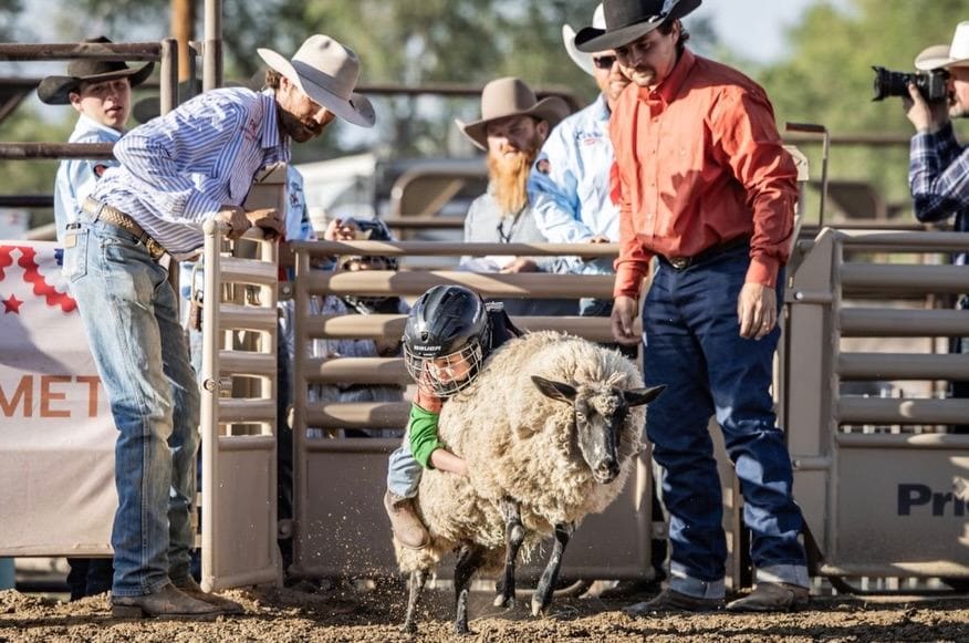 Mutton Bustin.  Photo credit_  Prescott Rodeo