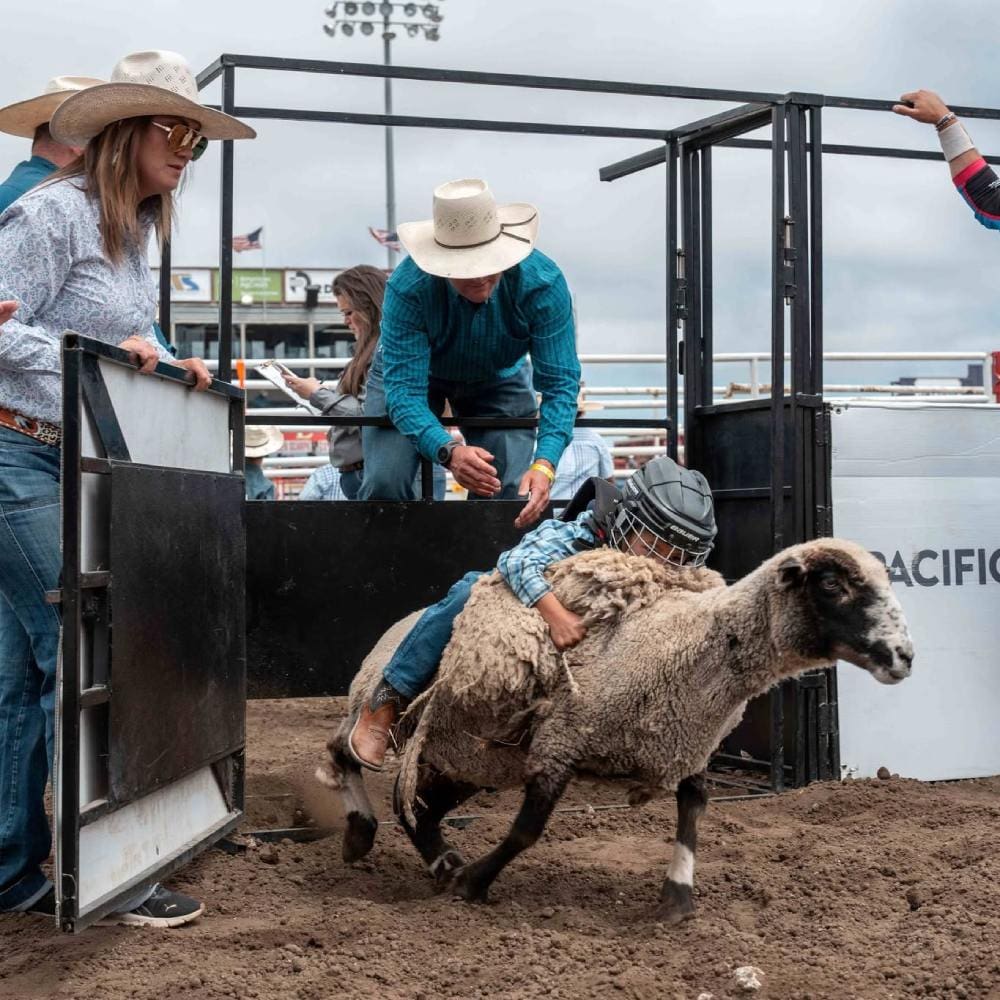 Mutton Bustin.  Photo from California Rodeo Salinas FB.