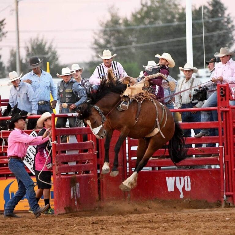 Wyo Rodeo Sheridan WYO Rodeo 2026 Brings Western Heritage and Championship Rodeo ...