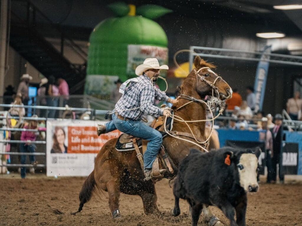 Cowboy dismounting from horse to attempt to chase a calf and tie it down.  Photography from Rodeo Scottsdale fb