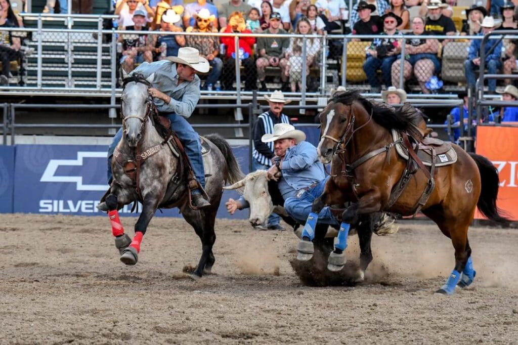 Steer Wrestling. Utah Days of 47 photo
