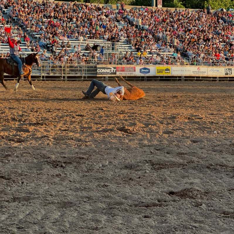 Steer wrestler. Photos courtesy of Ogden Pioneer