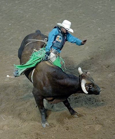 Wild Thing- courtesy of Navajo Times