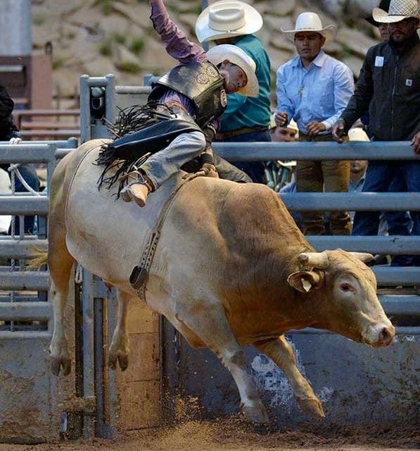 Wild Thing- courtesy of Navajo Times