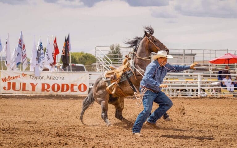 72nd Annual Taylor Independence Day & Night Rodeo 2026: Arizona's ...