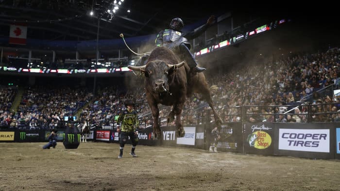 Bull ride.  