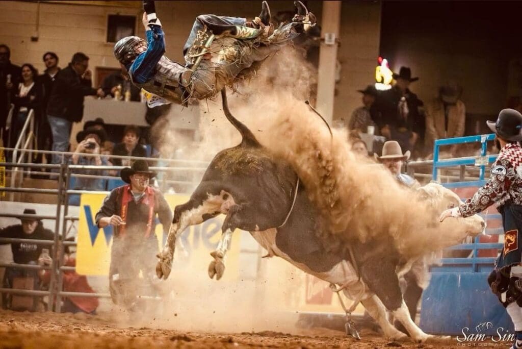 Cowboy being thrown into the air by a bucking bull.  Sam-Sin Photography from Rodeo Scottsdale fb