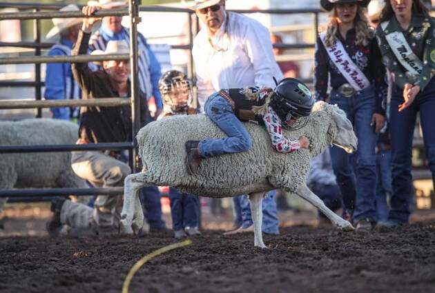 Mutton Bustin'