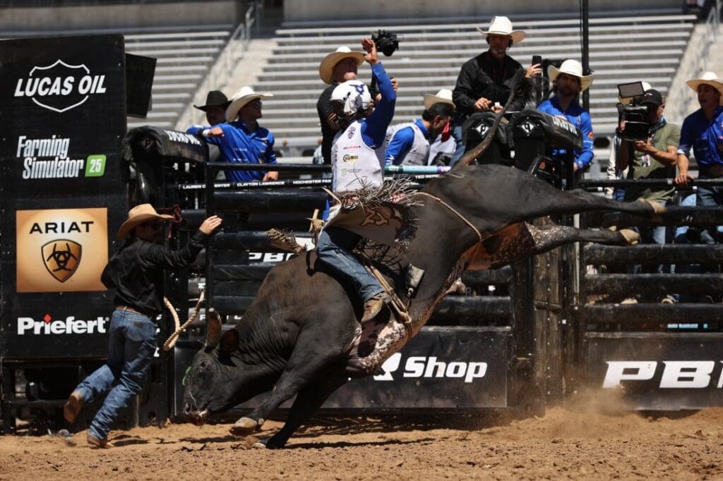 26-Mavs by Bull Stock Media