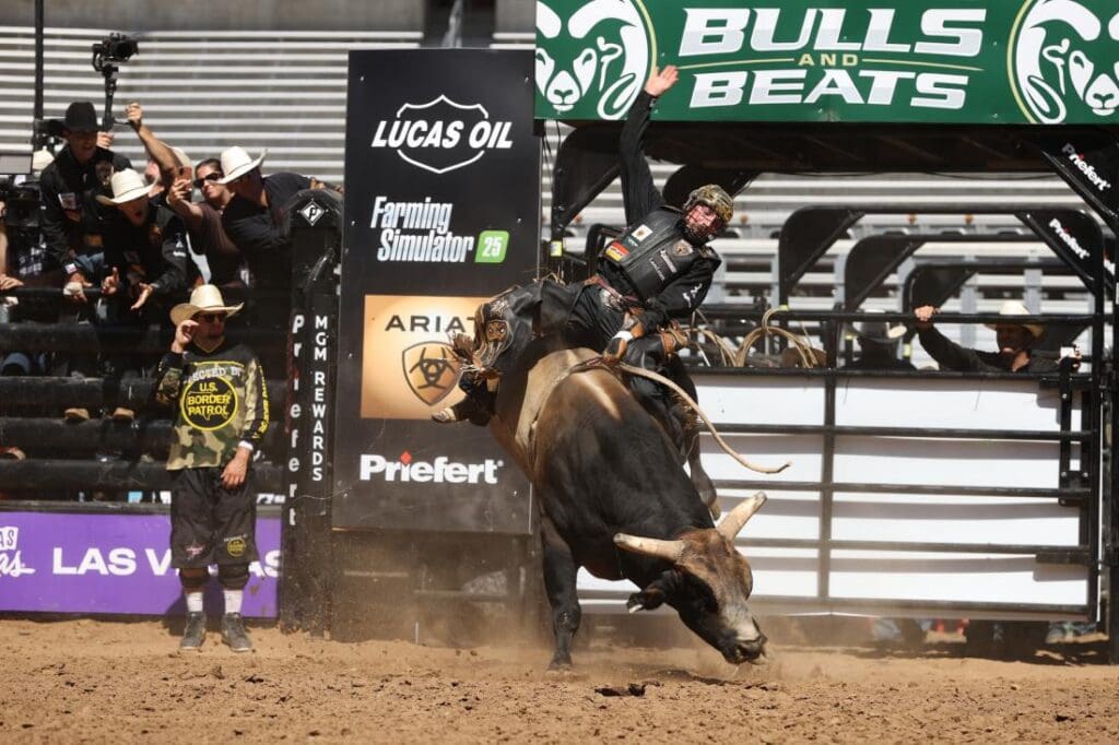 26-Rattlers by Bull Stock Media