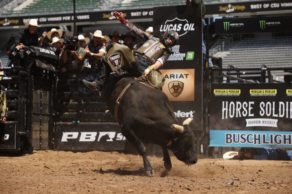 26-Thunder by Bull Stock Media