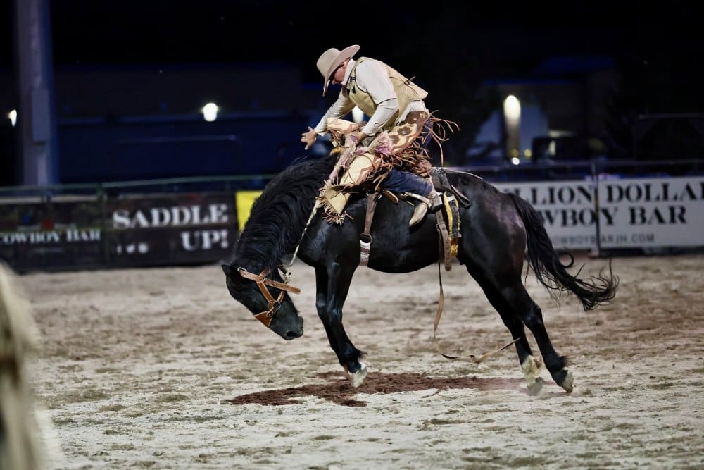 Bronc Ride Photo from Jackson Hole Rodeo FB