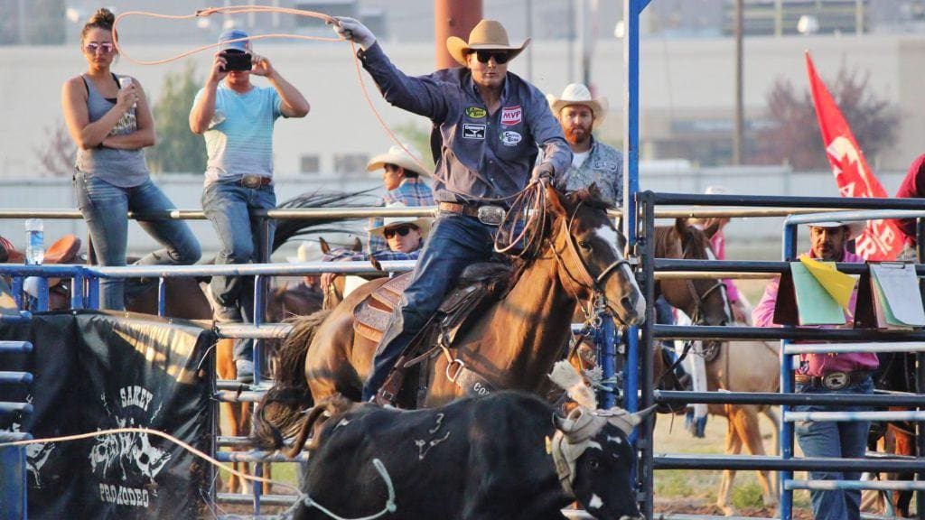 Cowboy Roping. Big Sky Rodeo. Courtesy of CLN