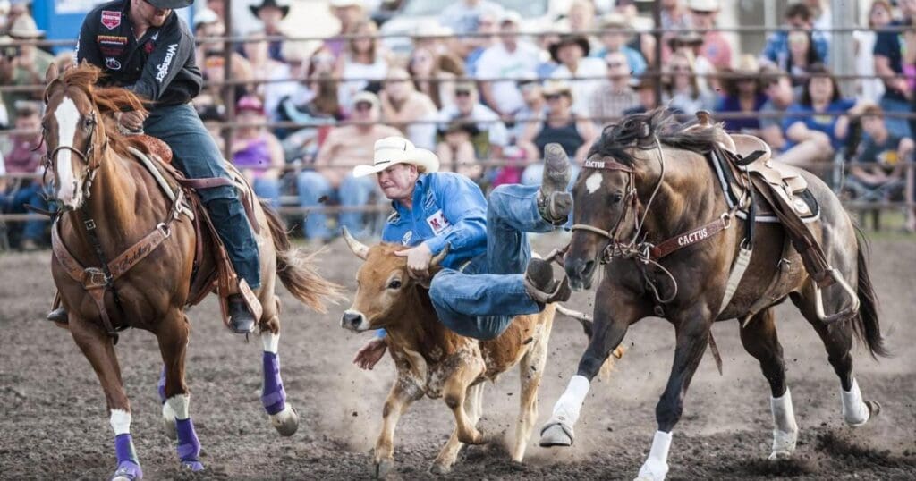 Steer Wrestling. Big Sky Rodeo. Courtesy of CLN