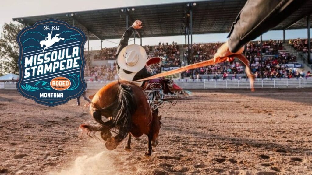 A behind the chutes view of a bucking bronc coming out of the chutes.