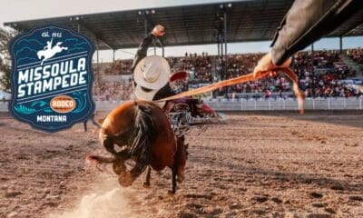 A behind the chutes view of a bucking bronc coming out of the chutes.