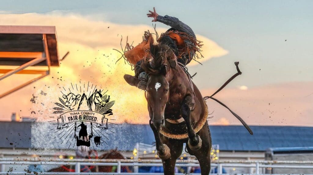 Yuma County Fair & Rodeo 2026 Ignites Summer in Eastern Colorado ...