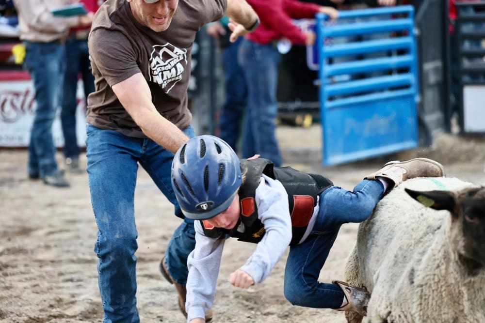 Mutton Bustin' Photo from Jackson Hole Rodeo FB