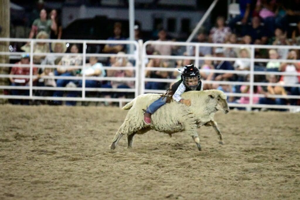 Mutton bustin' Photo from Yuma County Fair & Rodeo News FB