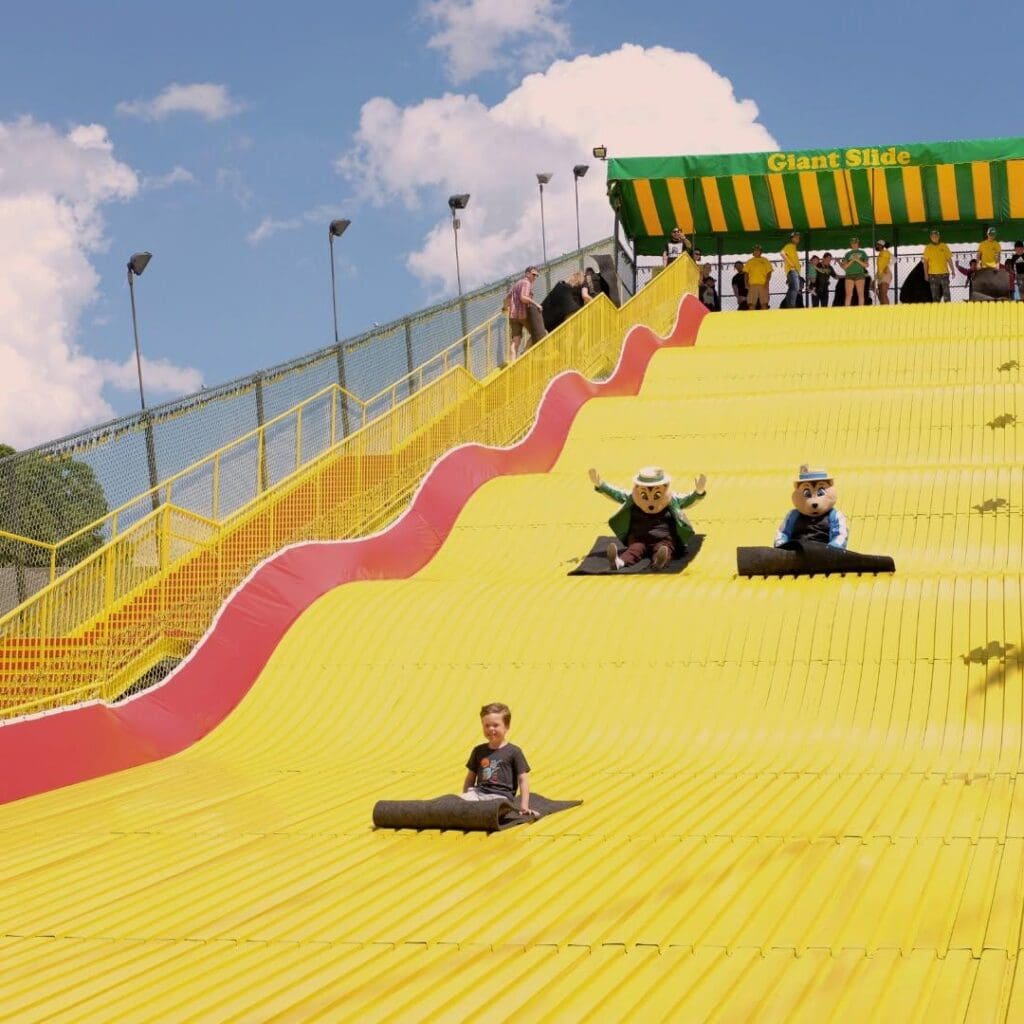 Minnesota State Fair Mascots going down the large slide