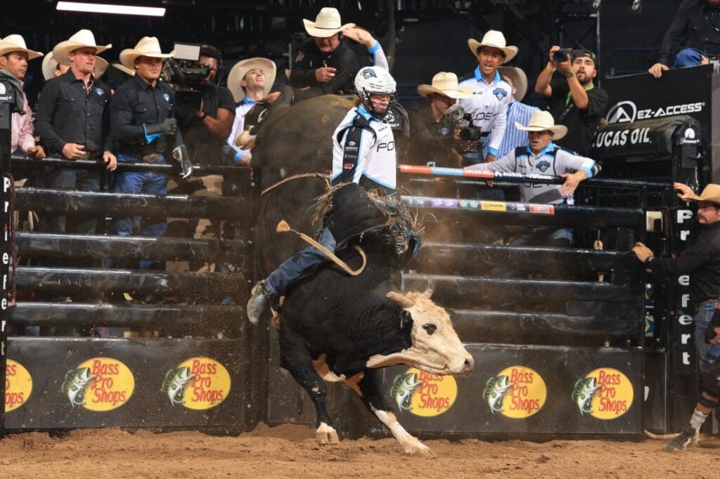 Photo by Bull Stock Media