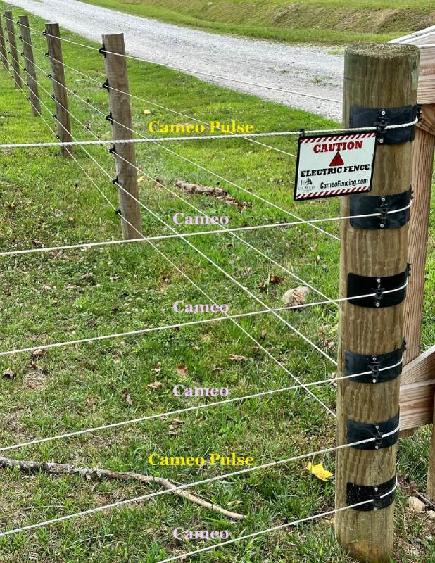 Cameo Fencing Corner. Photo courtesy Cameo Fence website.