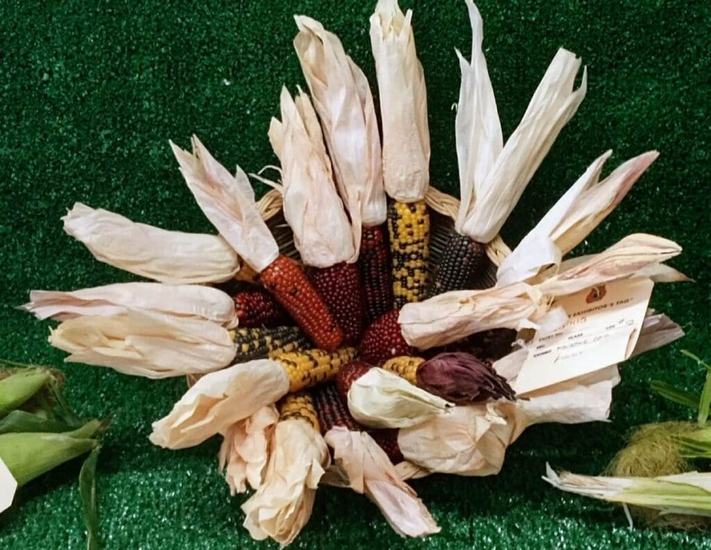 Photo Courtesy of the Northern Navajo Fair Facebook page.