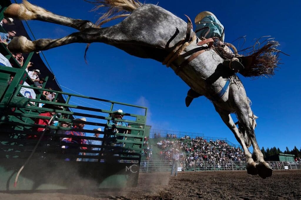 Truckee Pro Rodeo Action . Photo credit- Matt Cohen.