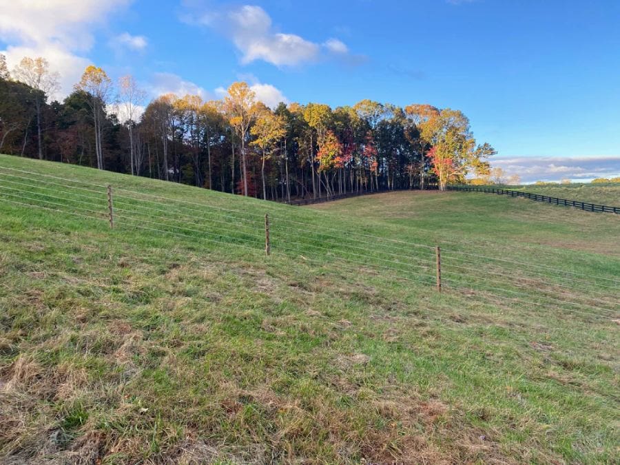 Photo Courtesy of Cameo Fencing Website.