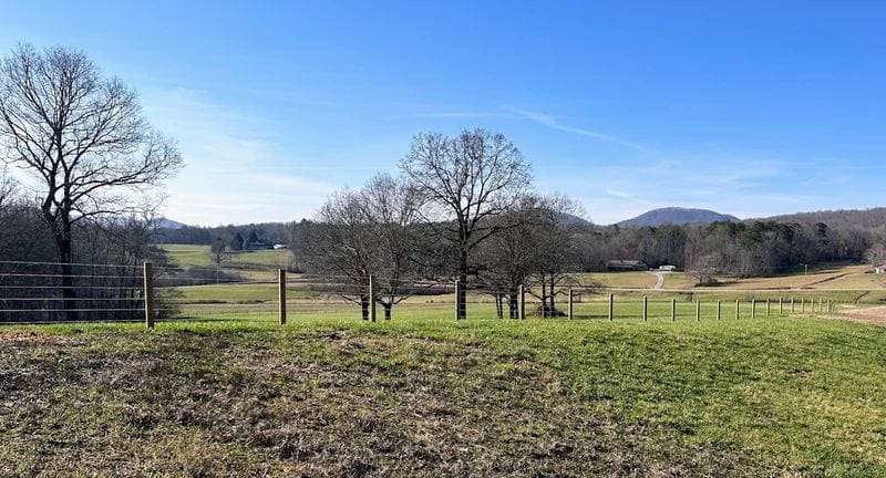 Cameo Fence. Photo courtesy Cameo Fence website.