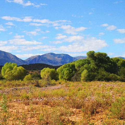 CLN photo of the desert with mountains