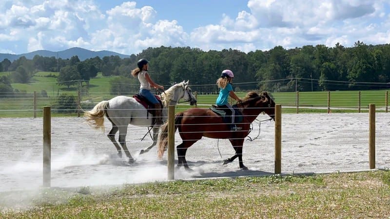 Photo Courtesy of Cameo Fencing Website.