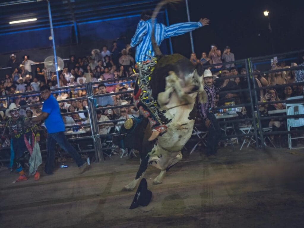 Bull riding at Rancho Ochoa